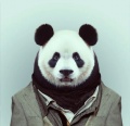 Paaanda's Avatar