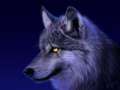 razerdog93's Avatar