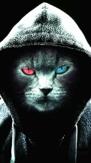 Jerrybrown's Avatar