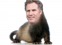 FerretS's Avatar