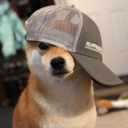 caonima1234's Avatar