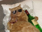 DrunkenCat's Avatar