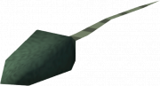 Biggest_Chungus's Avatar