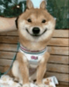sacuL's Avatar