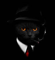 alhosiny's Avatar