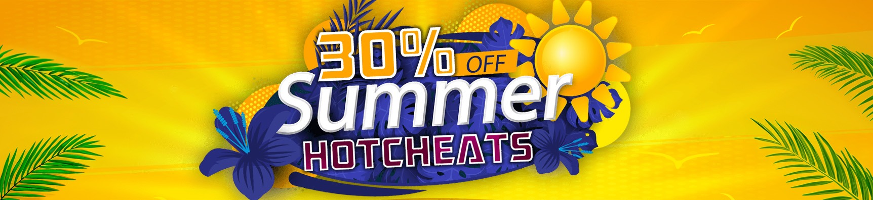 Summer Sale 30% Discount! (Expired)